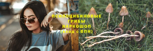 ПСИЛОЦИБИНОВЫЕ ГРИБЫ Володарск