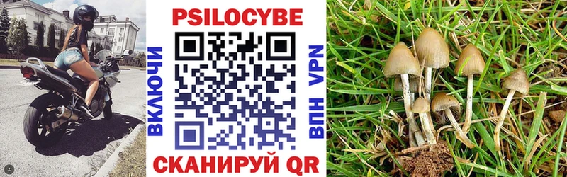 Псилоцибиновые грибы мухоморы Вытегра